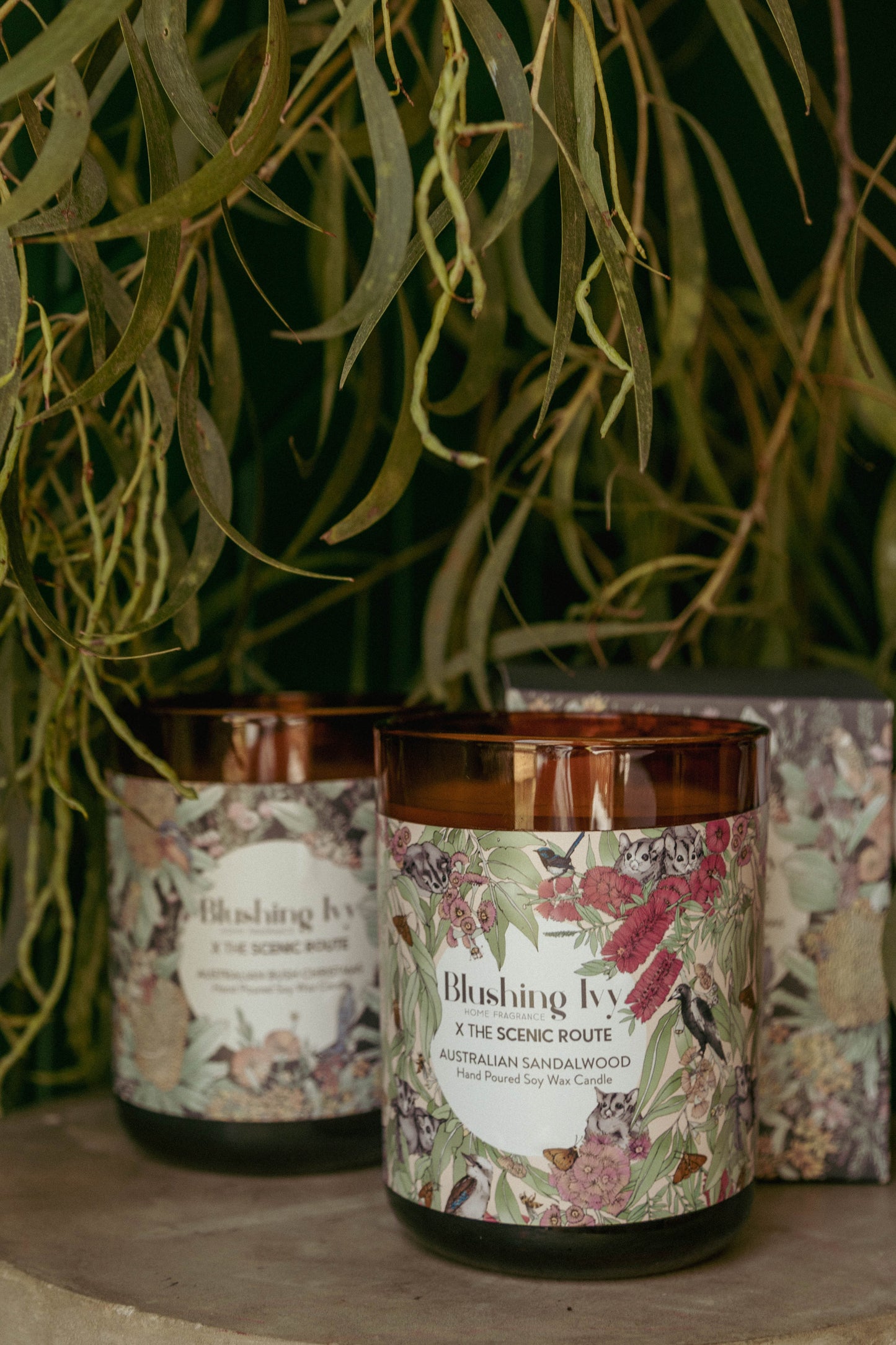 Australian Sandalwood Candle