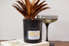 Wild Heath Society Deluxe Soy Candle